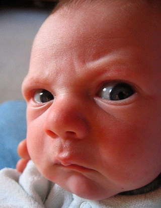 Illustration for article titled "Angriest Baby on the Block"